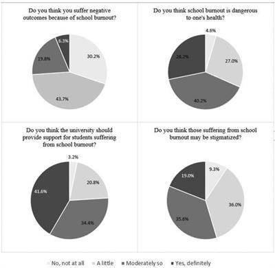 Burnout Stigma Inventory: Initial Development and Validation in Industry and Academia